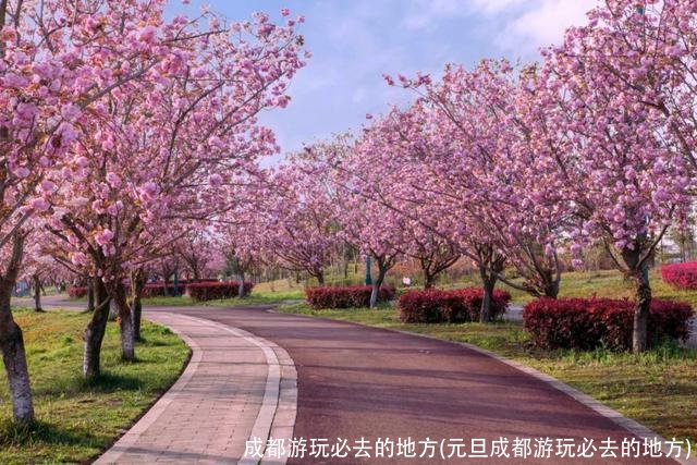 成都游玩必去的地方(元旦成都游玩必去的地方)