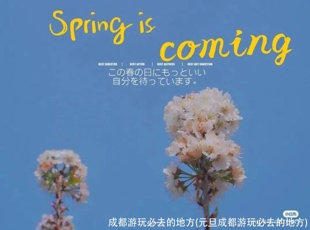 成都游玩必去的地方(元旦成都游玩必去的地方)