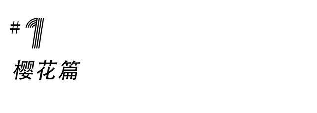 成都游玩必去的地方(元旦成都游玩必去的地方)