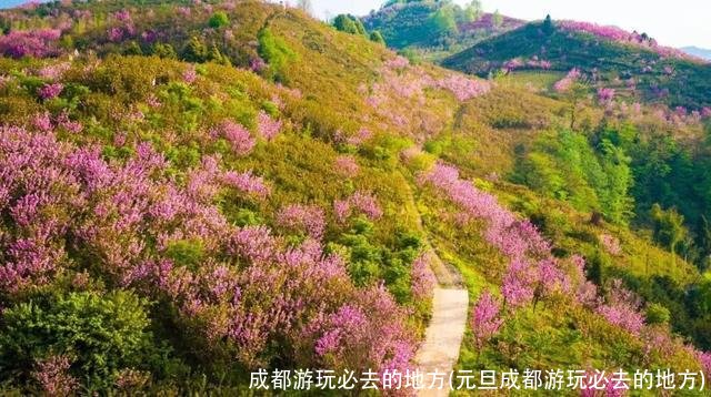 成都游玩必去的地方(元旦成都游玩必去的地方)