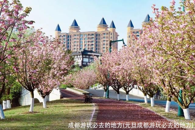 成都游玩必去的地方(元旦成都游玩必去的地方)