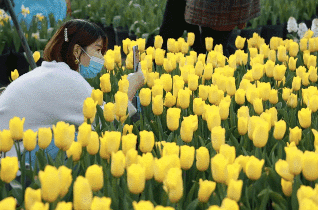 成都游玩必去的地方(元旦成都游玩必去的地方)