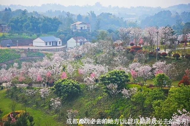 成都游玩必去的地方(元旦成都游玩必去的地方)