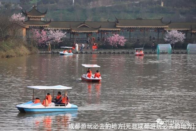 成都游玩必去的地方(元旦成都游玩必去的地方)