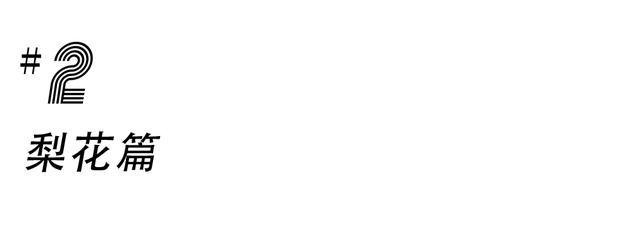 成都游玩必去的地方(元旦成都游玩必去的地方)