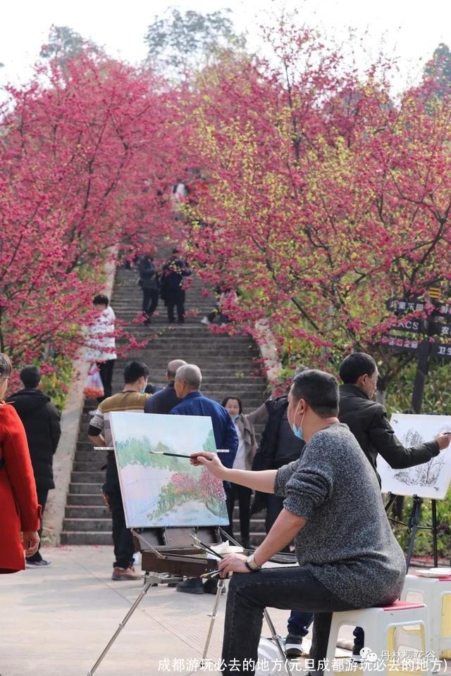 成都游玩必去的地方(元旦成都游玩必去的地方)