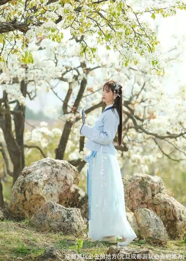 成都游玩必去的地方(元旦成都游玩必去的地方)
