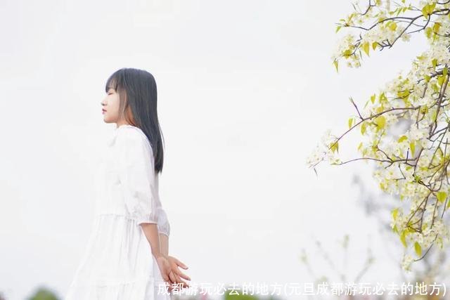 成都游玩必去的地方(元旦成都游玩必去的地方)