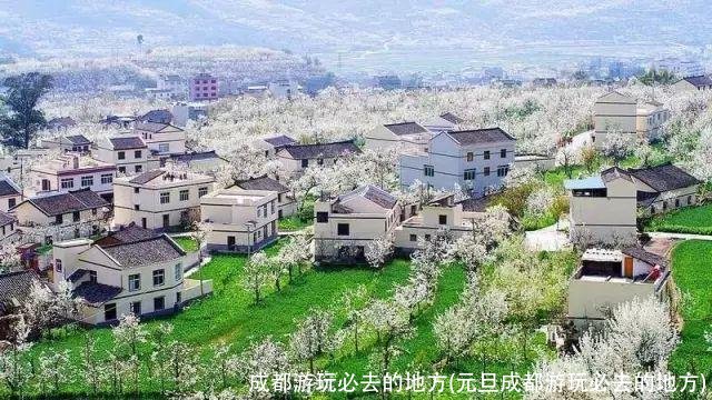 成都游玩必去的地方(元旦成都游玩必去的地方)