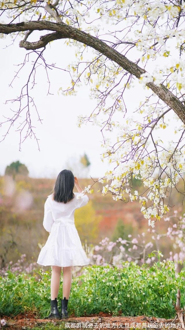 成都游玩必去的地方(元旦成都游玩必去的地方)