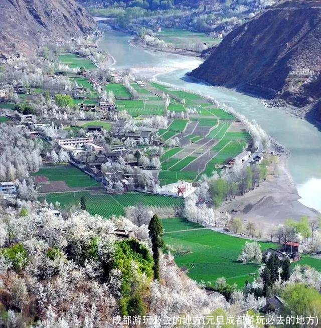 成都游玩必去的地方(元旦成都游玩必去的地方)