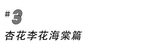 成都游玩必去的地方(元旦成都游玩必去的地方)