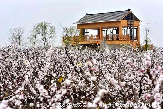 成都游玩必去的地方(元旦成都游玩必去的地方)