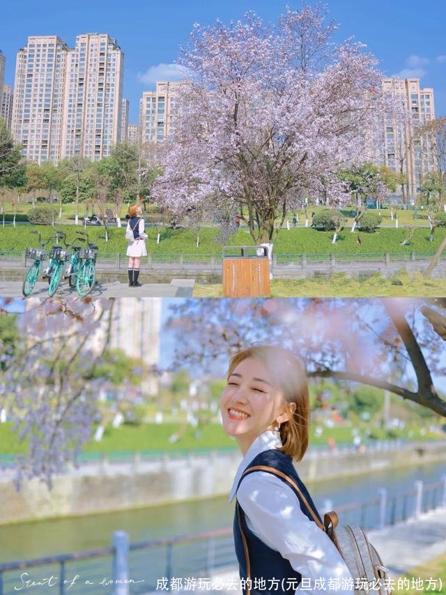 成都游玩必去的地方(元旦成都游玩必去的地方)