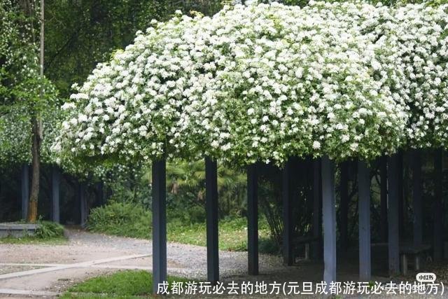 成都游玩必去的地方(元旦成都游玩必去的地方)