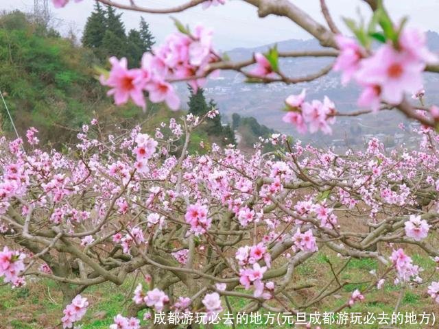 成都游玩必去的地方(元旦成都游玩必去的地方)