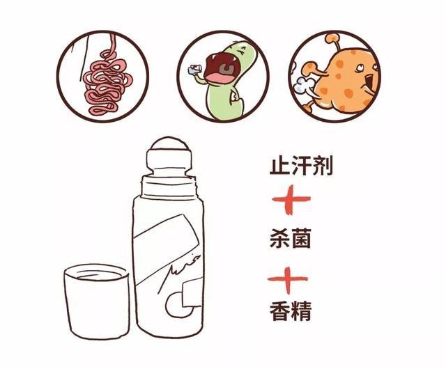 狐臭能转成体香吗