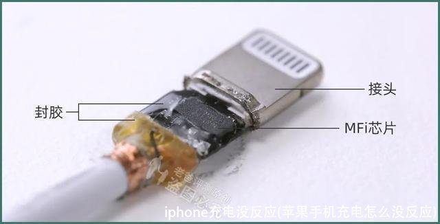 iphone充电没反应(苹果手机充电怎么没反应)