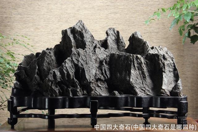 中国四大奇石(中国四大奇石是哪四种)