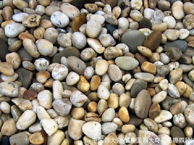 中国四大奇石(中国四大奇石是哪四种)