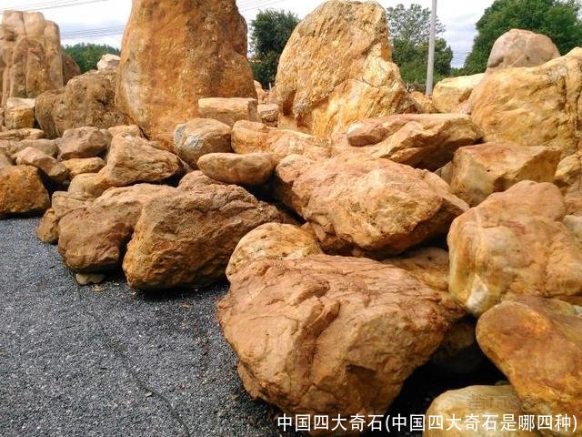 中国四大奇石(中国四大奇石是哪四种)