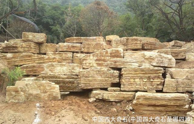 中国四大奇石(中国四大奇石是哪四种)