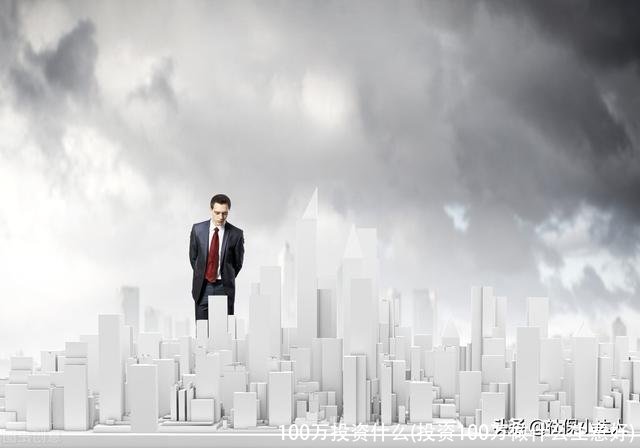 100万投资什么(投资100万做什么生意好)