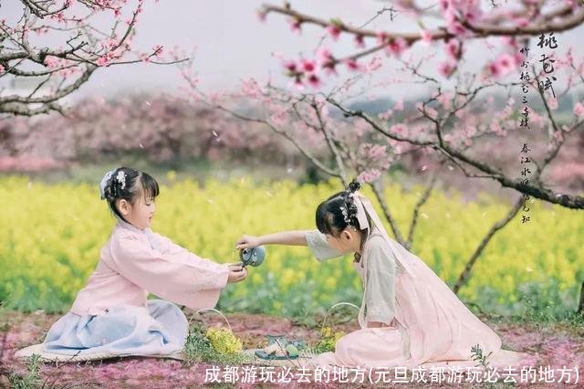 成都游玩必去的地方(元旦成都游玩必去的地方)