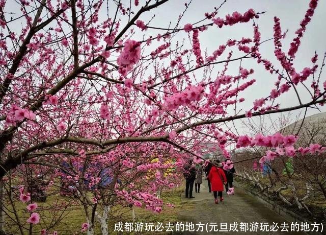 成都游玩必去的地方(元旦成都游玩必去的地方)