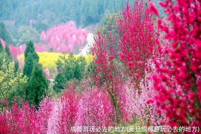 成都游玩必去的地方(元旦成都游玩必去的地方)