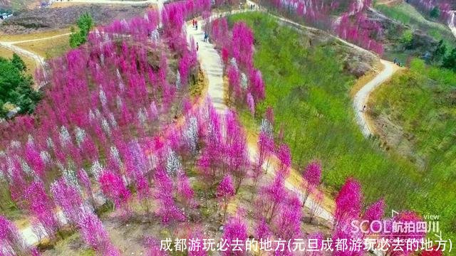 成都游玩必去的地方(元旦成都游玩必去的地方)