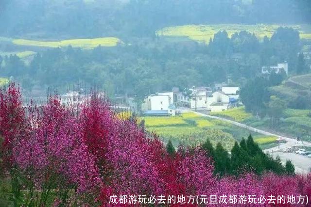 成都游玩必去的地方(元旦成都游玩必去的地方)