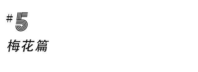 成都游玩必去的地方(元旦成都游玩必去的地方)