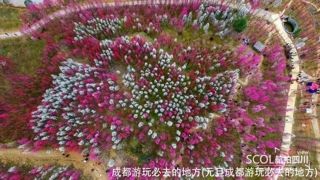 成都游玩必去的地方(元旦成都游玩必去的地方)
