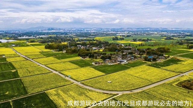 成都游玩必去的地方(元旦成都游玩必去的地方)