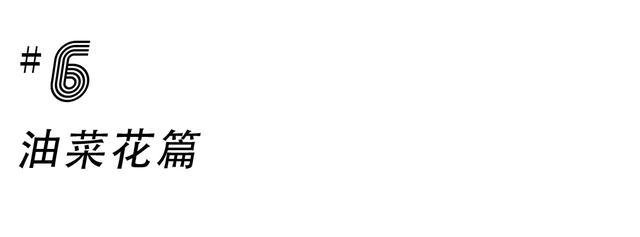 成都游玩必去的地方(元旦成都游玩必去的地方)