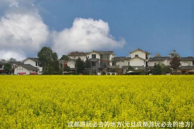 成都游玩必去的地方(元旦成都游玩必去的地方)