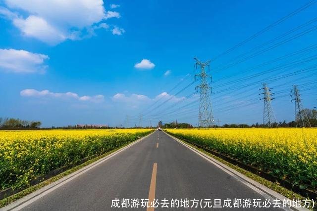 成都游玩必去的地方(元旦成都游玩必去的地方)