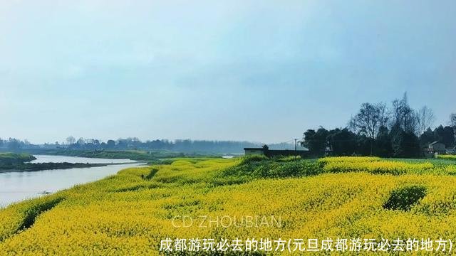 成都游玩必去的地方(元旦成都游玩必去的地方)