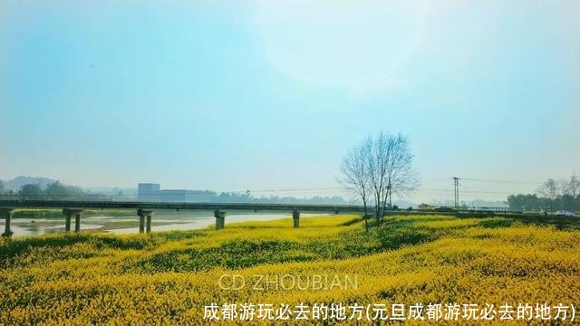 成都游玩必去的地方(元旦成都游玩必去的地方)