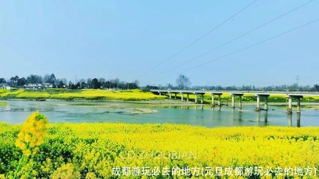 成都游玩必去的地方(元旦成都游玩必去的地方)