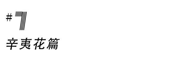 成都游玩必去的地方(元旦成都游玩必去的地方)