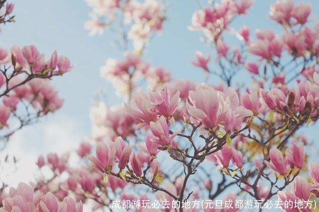 成都游玩必去的地方(元旦成都游玩必去的地方)