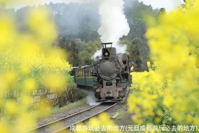 成都游玩必去的地方(元旦成都游玩必去的地方)