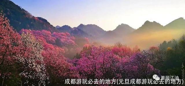 成都游玩必去的地方(元旦成都游玩必去的地方)