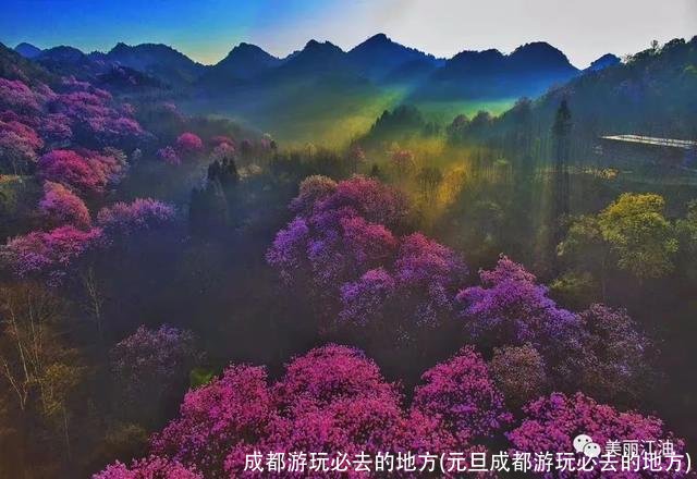 成都游玩必去的地方(元旦成都游玩必去的地方)