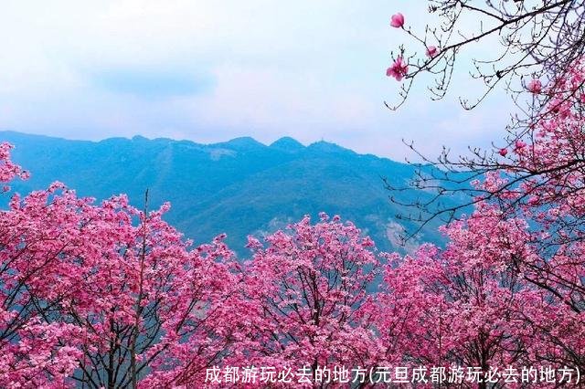 成都游玩必去的地方(元旦成都游玩必去的地方)