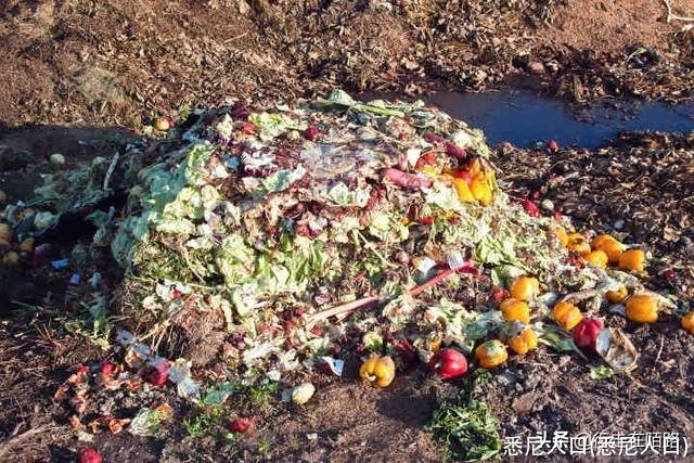 悉尼人口(悉尼人口)