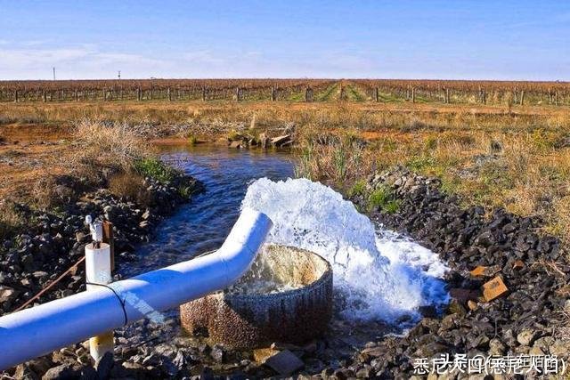 悉尼人口(悉尼人口)