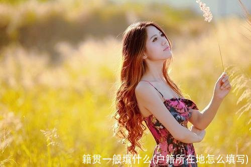 籍贯一般填什么(户籍所在地怎么填写)